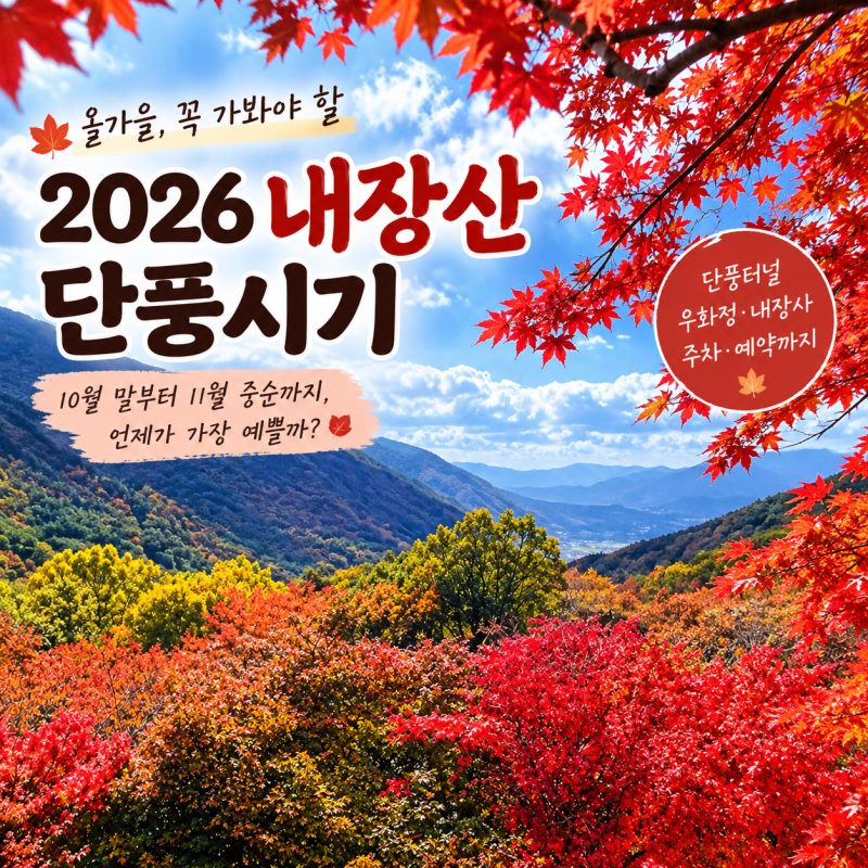 2026 단풍시기 언제? 서울 근교 내장산 10월말 vs 11월 절정 예상일