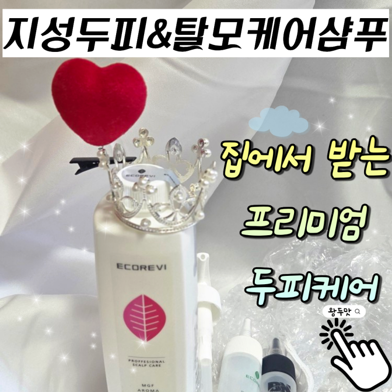 지성두피샴푸 에코레비 집에서 받는 프리미엄 두피케어 정착할 수 있을까?