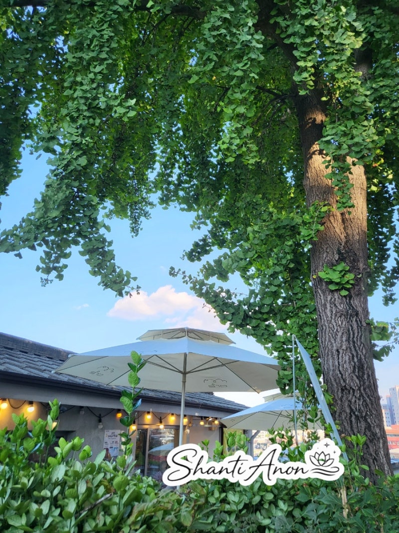[서울_성북]성북동 나들이#길상사 #서울한양도성
