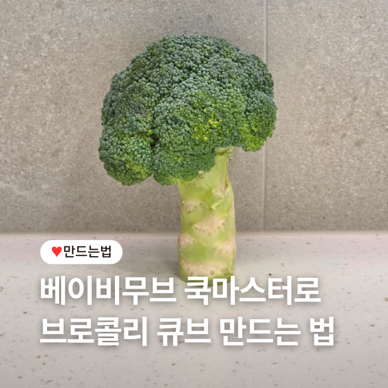 [베이비무브 쿡마스터] 브로콜리 큐브 만들기