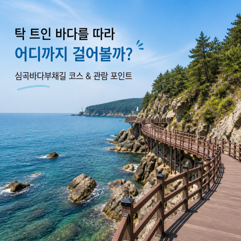 강릉 심곡바다부채길 어디까지 걸을까? 코스와 관람 포인트 정리