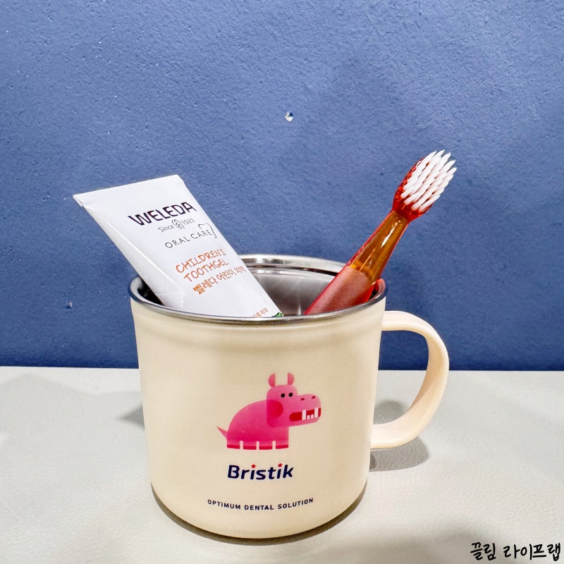 아기양치컵 어떻게 고를까? 어린이집 유치원 준비물 기준