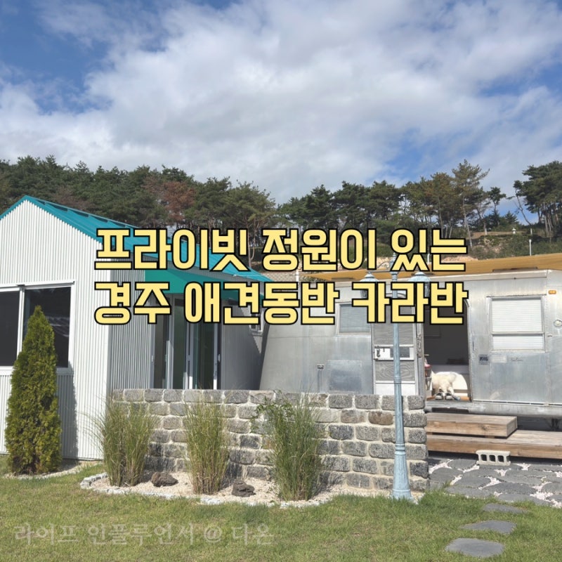 경주 애견동반 카라반, 캠피언카라반 프라이빗 정원과 개별 불멍 솔직 후기