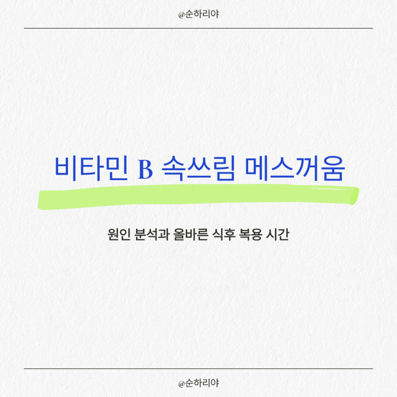 고함량 비타민 B 속쓰림 메스꺼움 원인과 올바른 식후 복용 시간
