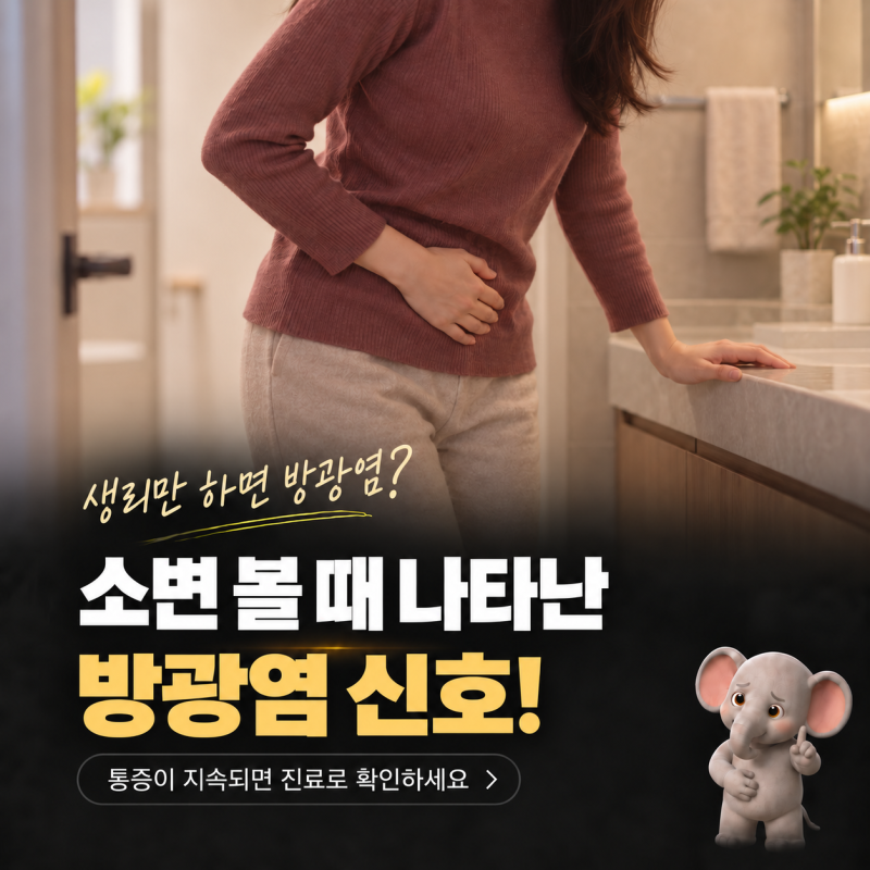 생리만 다가오면 화장실 VIP... 반복되는 방광염, 정말 생리 때문일까?