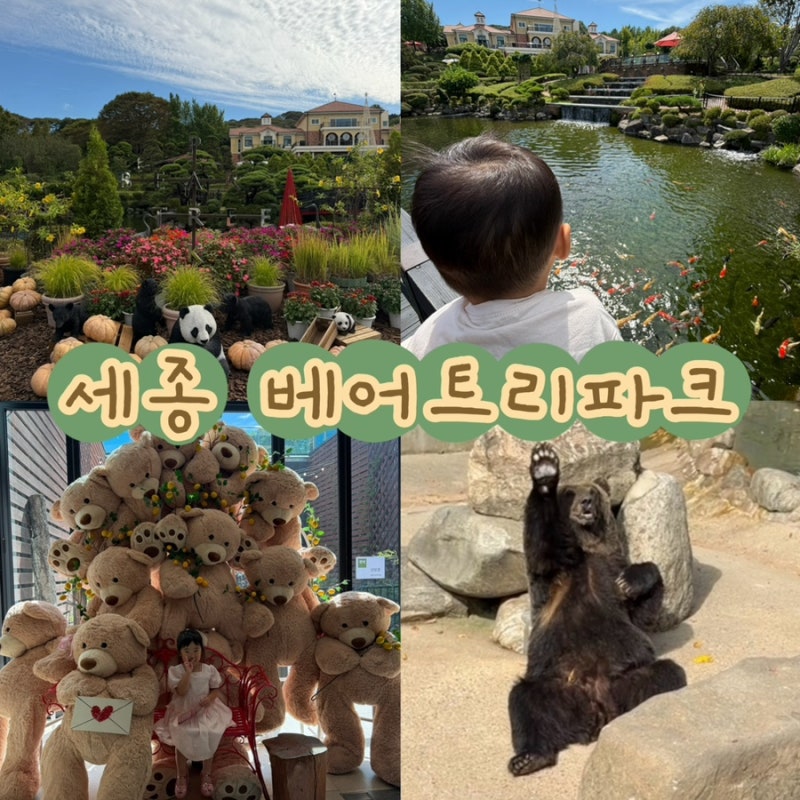 세종 아이랑 가볼만한곳 베어트리파크 추천코스