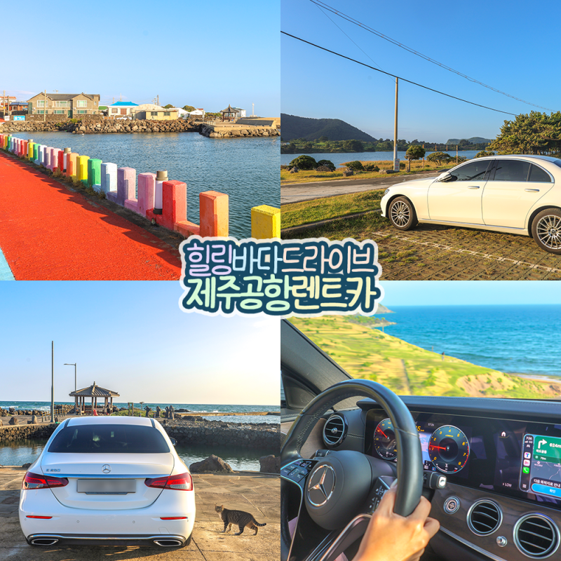 제주공항 렌트카 카모아 자차 플러스 제주도 렌터카 추천