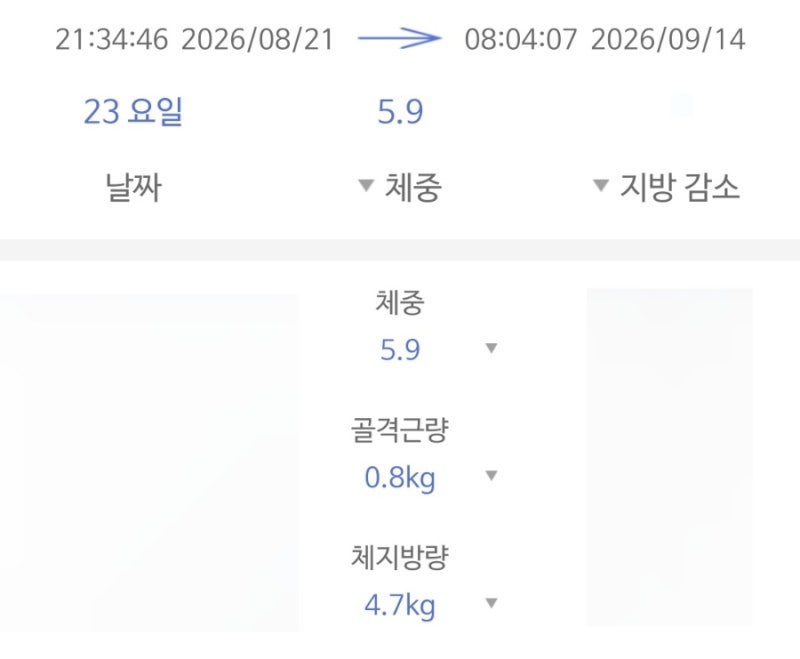 [1차] 위고비 대신 자린고비! 야매 마이옵티멀 다이어트 (구.스위치온) 6kg 감량 후기