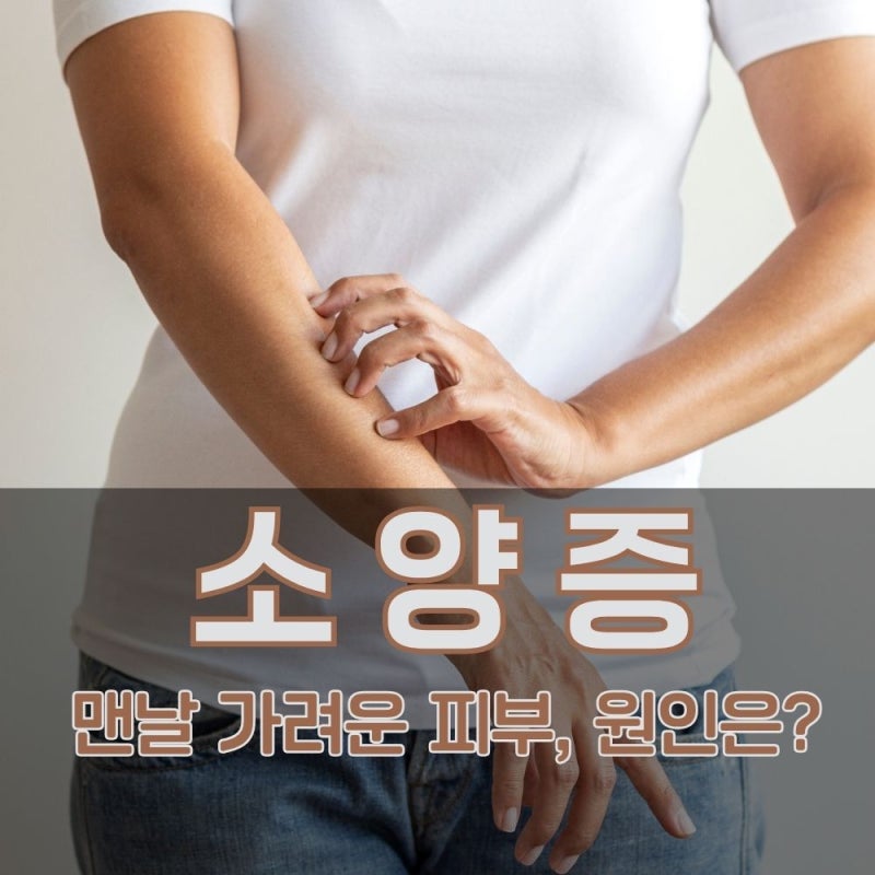 소양증 뜻과 원인, 피부소양증부터 임신소양증·항문소양증까지 총정리