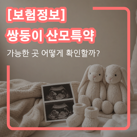 [보험정보] 쌍둥이 태아보험 산모특약 가능한 곳 확인하는 방법