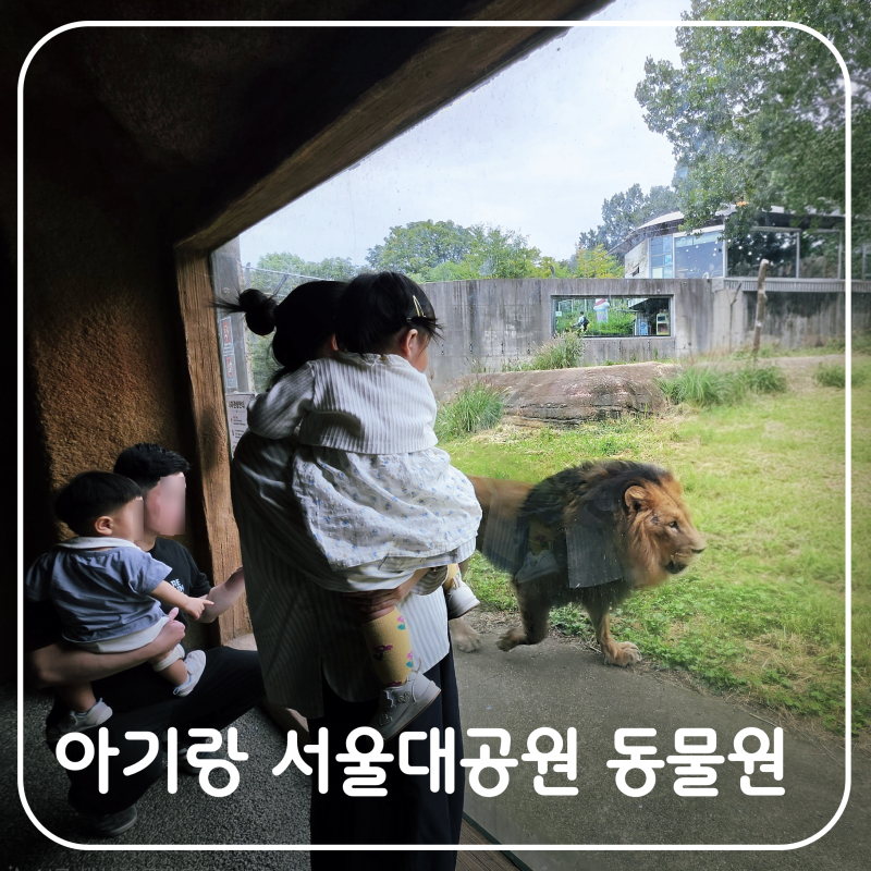 아기랑 가을 가볼만한곳 서울대공원 동물원 주차요금, 아기쉼터 위치, 코끼리 열차 및 평일 ....