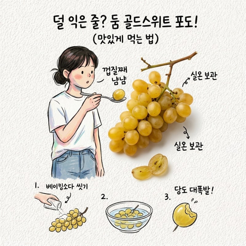 골드스위트 포도 먹는법, 껍질째, 씻는법, 당도, 보관법, 샤인머스켓 차이