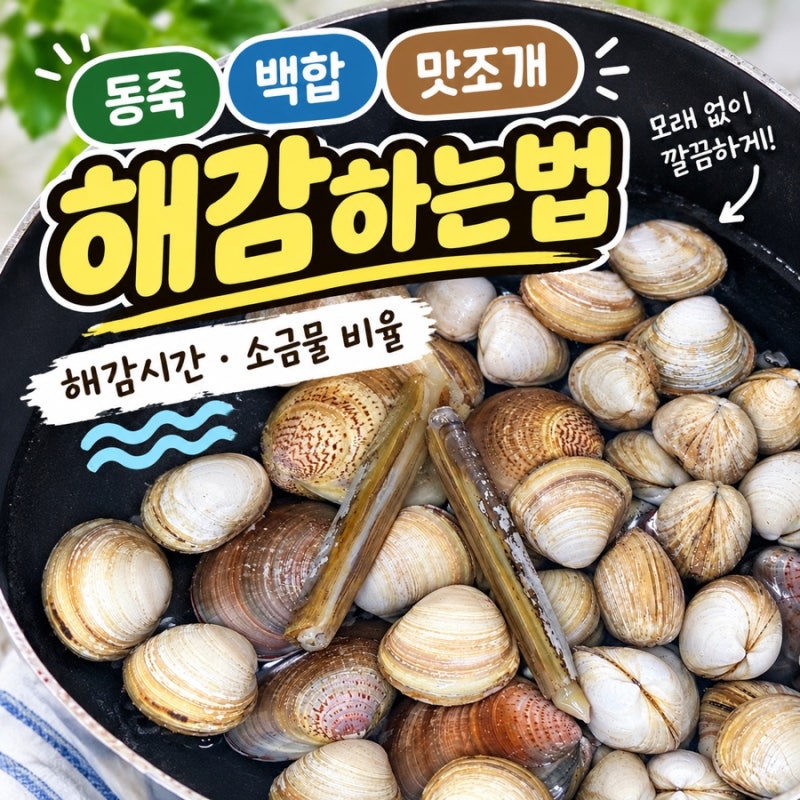 동죽 백합 맛조개 해감하는법｜해감시간부터 소금물 비율까지 해감방법 총정리
