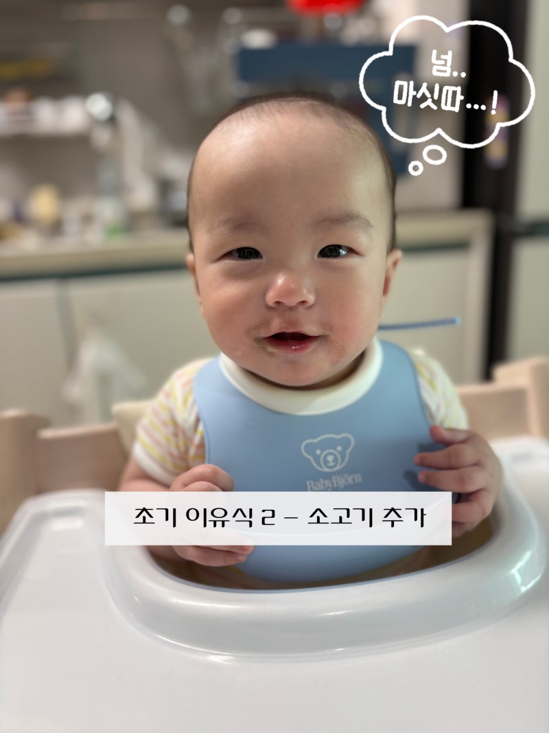 초기 이유식 기록 2편｜소고기 이유식 시작, 애호박부터 당근까지