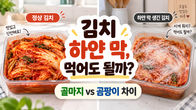 김치에 하얀 막이 생기면 먹어도 될까? 골마지와 곰팡이 차이