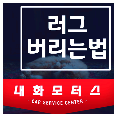 러그 버리는법 아파트에서 버릴때 종량제 봉투에 버려도 될까? 폐기물 스티커 부착 여부