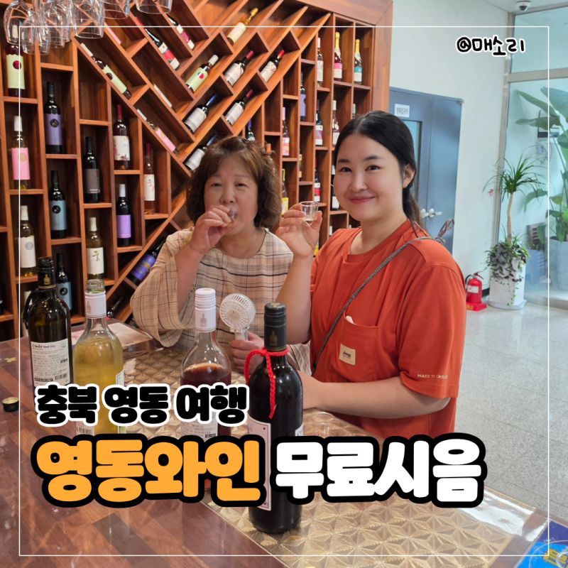 충북 영동 가볼 만한 곳 영동와인 무료 시음 후기 - 레인보우 힐링 관광지 가족 여행지 추천