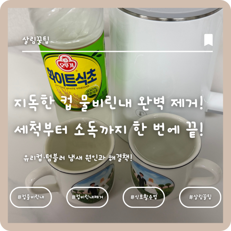 [살림꿀팁] 지독한 컵 물비린내 완벽 제거! 세척부터 소독까지 한 번에 끝내는 법