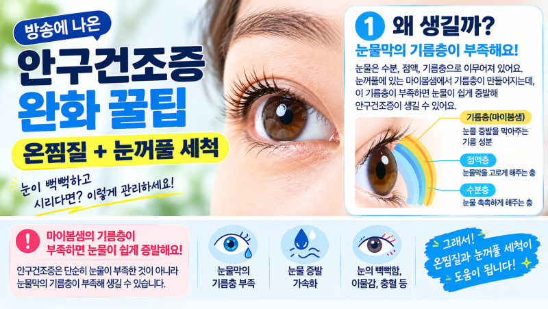 안구건조증 완화 꿀팁｜온찜질과 눈꺼풀 마이봄샘 세척 방법