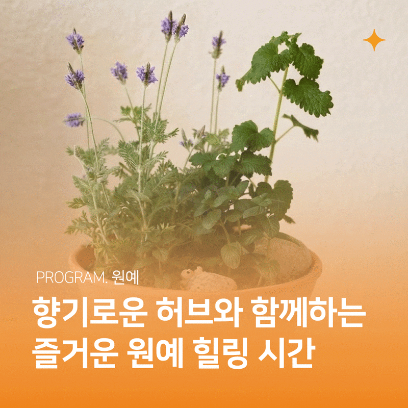 [허브식물심기] 아미나요양병원 원예 / 암요양병원 프로그램