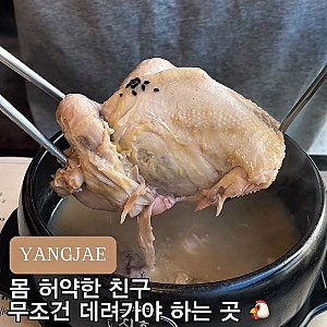 양재역 몸보신 맛집, 지호한방삼계탕 양재역점 후기