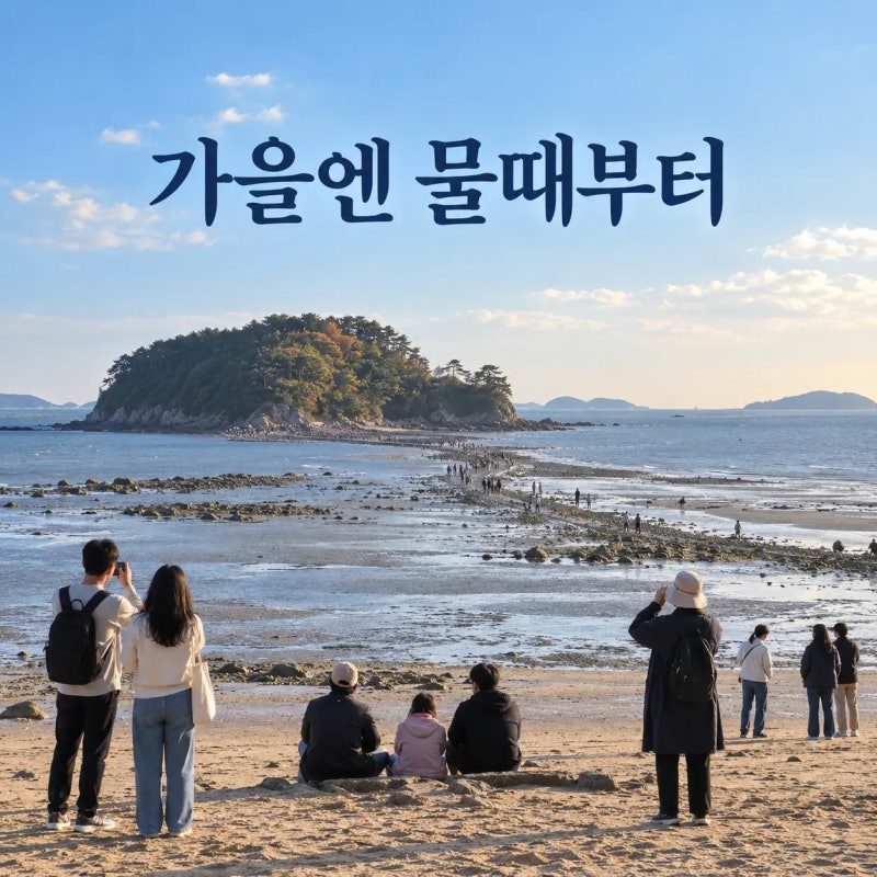 무창포해수욕장 가을 나들이, 신비의 바닷길은 9월 28~30일 확인하세요