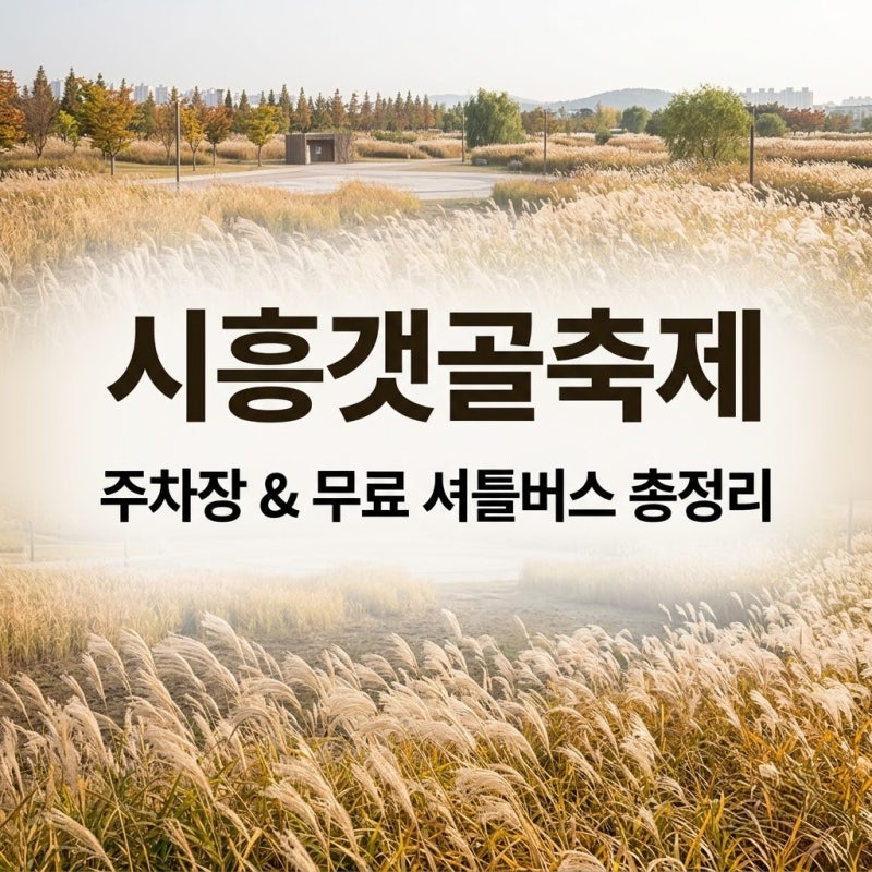 시흥갯골축제 주차장 및 셔틀버스 환승 완벽 팁