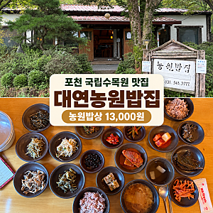 포천 국립수목원 맛집 대연농원밥집｜농원밥상 나물비빔밥 후기