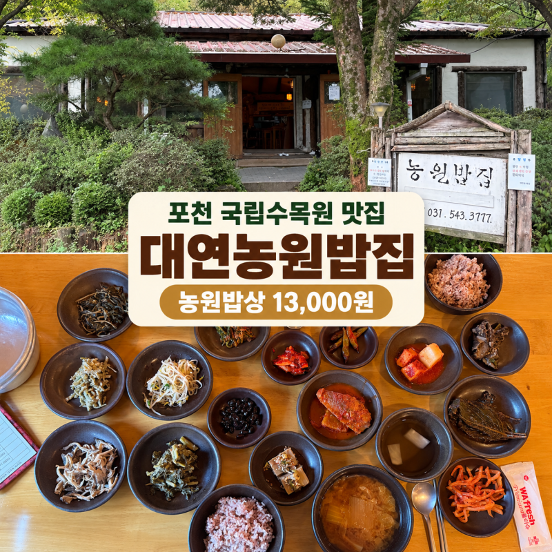 포천 국립수목원 맛집 대연농원밥집｜농원밥상 나물비빔밥 후기