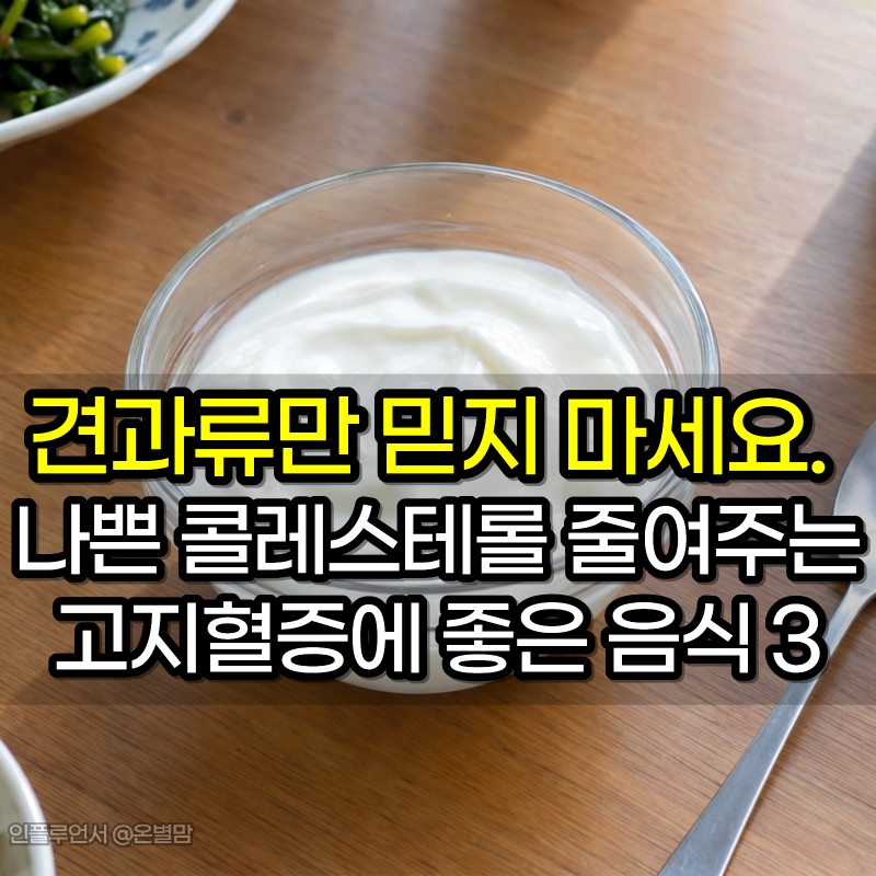 견과류만 믿지 마세요. 나쁜 콜레스테롤 줄여주는 고지혈증에 좋은 음식 3가지