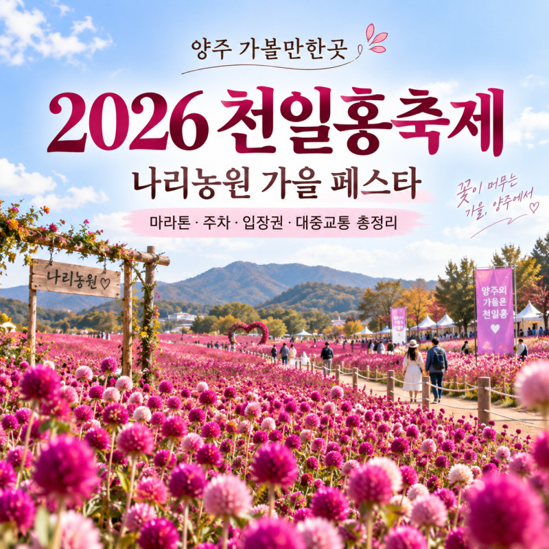 양주 가볼만한곳 2026 천일홍축제｜나리농원 가을 페스타 마라톤 주차 입장권 정보