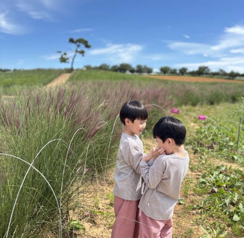 안성 팜랜드 입장료 9월 개화 상황 필수 준비물 총정리