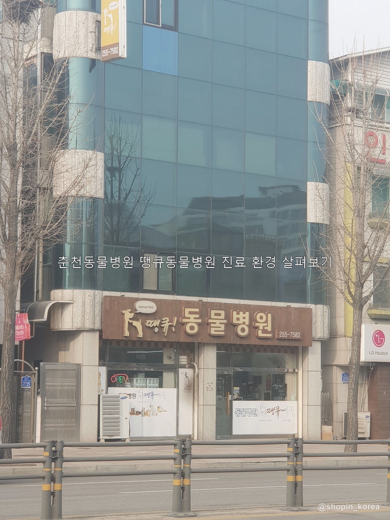 춘천동물병원 땡큐동물병원 진료 환경 살펴보기