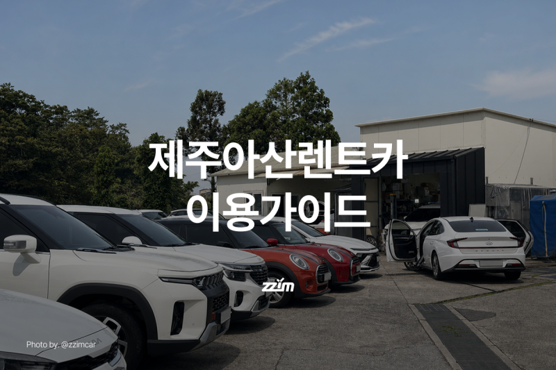 찜카타고｜제주아산렌트카 이용 가이드, 제주도 애견동반 렌트카