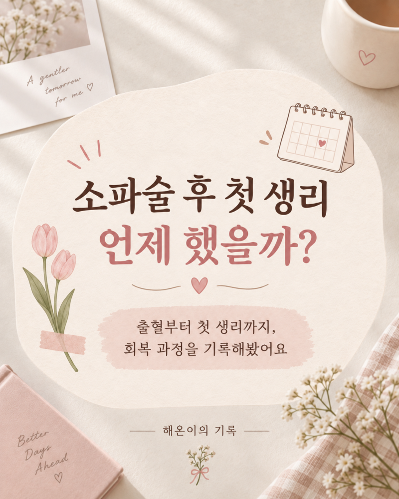 계류유산 소파술 후 첫 생리 언제? 출혈, 통증, 회복, 임신 준비 기록
