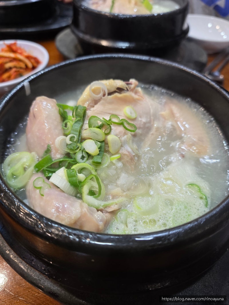 몸살 기운 날리러 다녀온 광화문 나들이, 아이들도 싹싹 비운 고려삼계탕