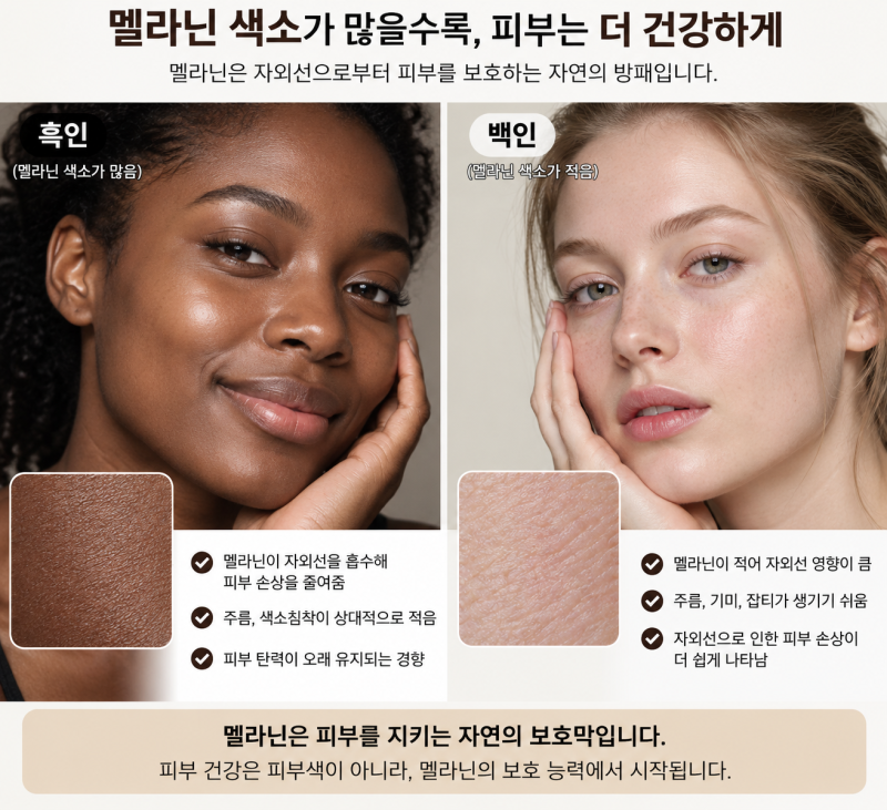 멜라토닝의 사용법 총정리!!!