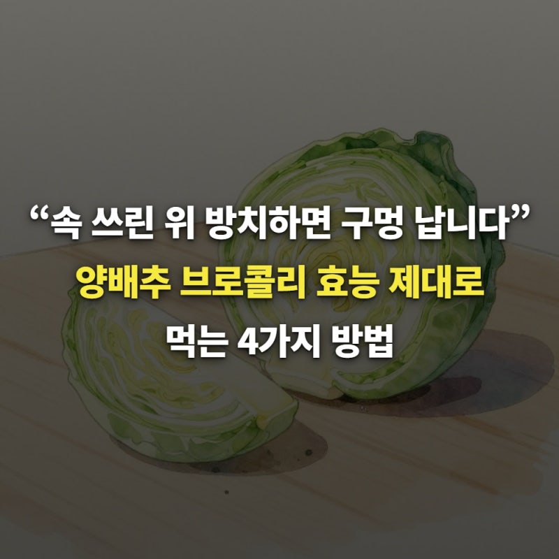 “속 쓰린 위 방치하면 구멍 납니다” 양배추 브로콜리 효능 제대로 먹는 4가지 방법