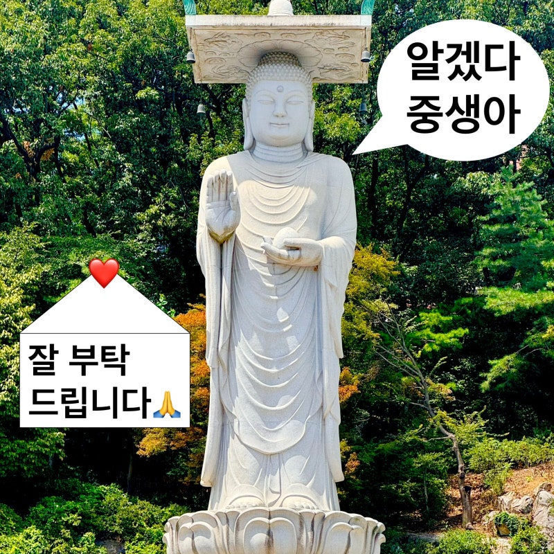 소원성취 기운 받아옴✨ 봉은사 공양미·소원초 공양 방법