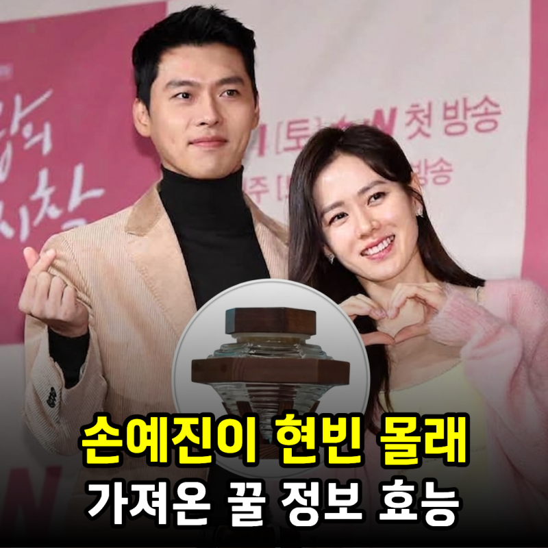 손예진이 현빈 몰래 가져온 꿀, 어떤 꿀일까? 현빈 꿀 정보 가격, 마누카꿀 효능과 먹는 법