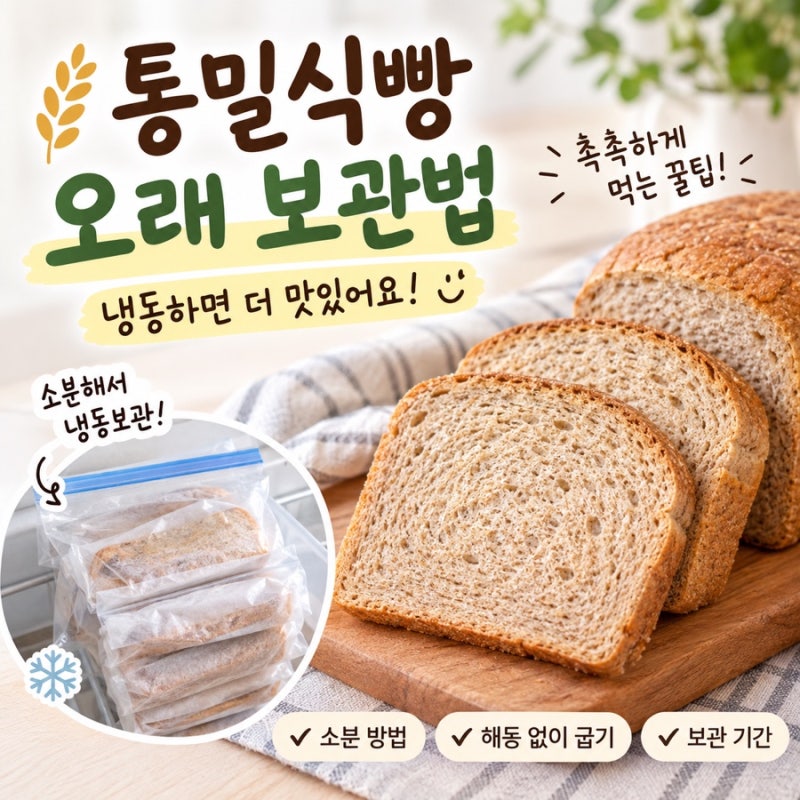 통밀식빵 오래 보관하는 방법, 촉촉하게 먹는 냉동 꿀팁