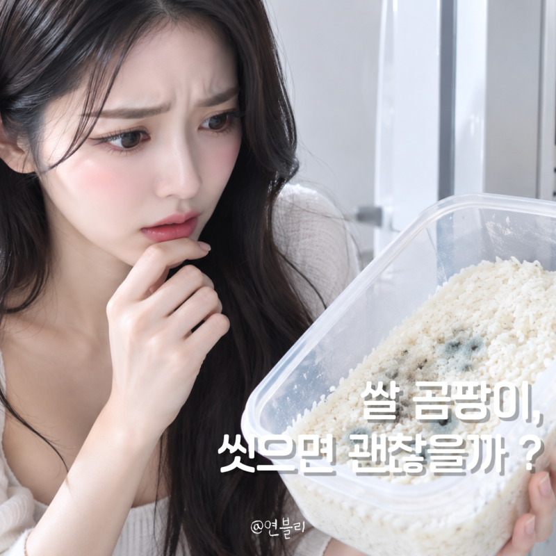 쌀 곰팡이 구분법 먹으면 어떻게 될까? 버리는 법