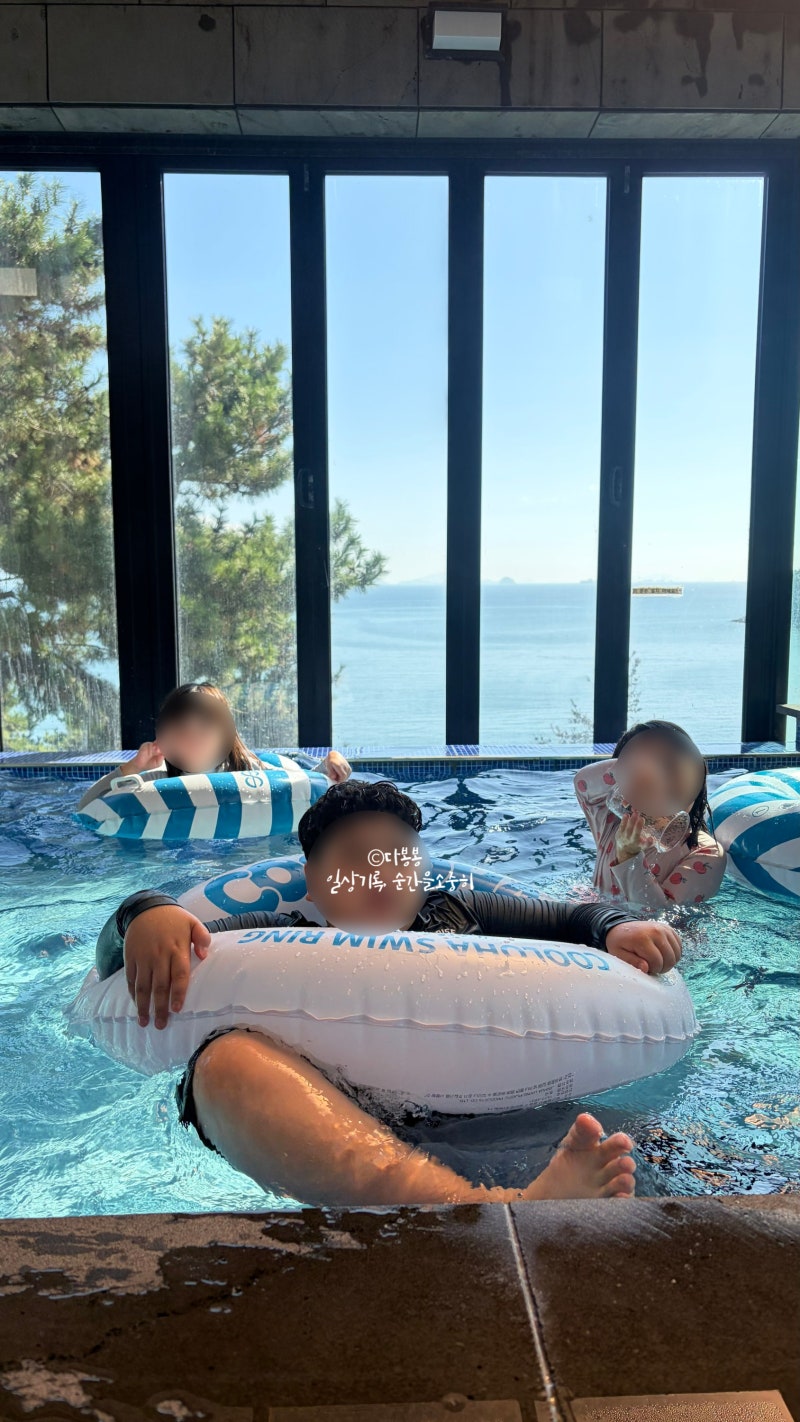 전남광주 여수시 돌산읍 별하 키즈 풀빌라 펜션 대가족 단체여행 숙소 최대인원 25명 내돈내....