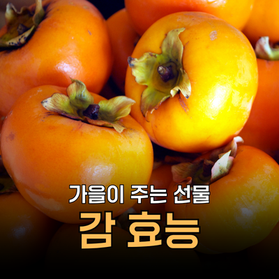 면역력 높이는 가을제철음식 감 효능 부작용 영양성분 먹는법ㅣ단감 곶감 홍시 차이