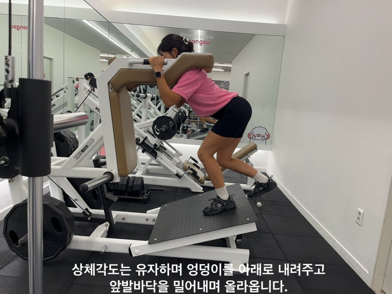 [성수PT] 브이스쿼트머신 활용법, 탄탄한 힙 & 하체 라인을 만드는 2가지 핵심 운동