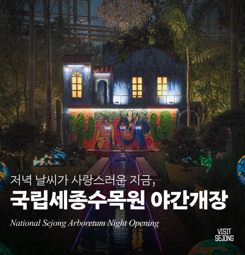국립세종수목원 야간개장｜세종 가을 가볼만한곳, 세종 밤산책 코스