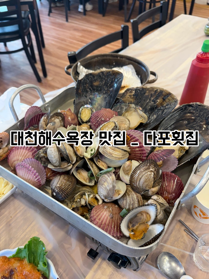 대천해수욕장 맛집, 횟집 추천 다포횟집 아이와 회 조개찜 대하구이 푸짐하게