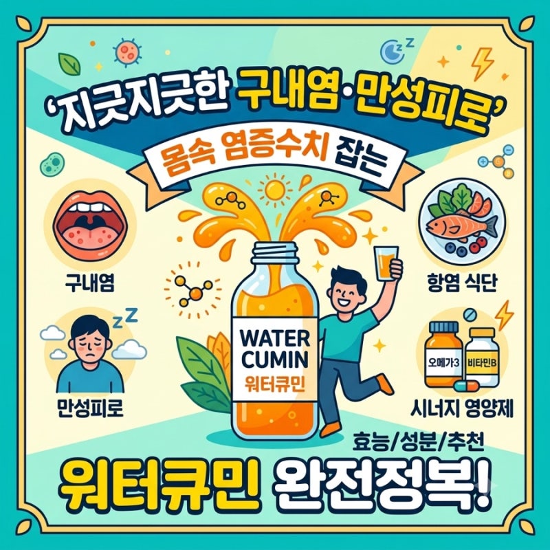 입병 달고 사는 직장인 필독! 만성피로·염증 수치 낮추는 영양제 조합 & 관리 꿀팁