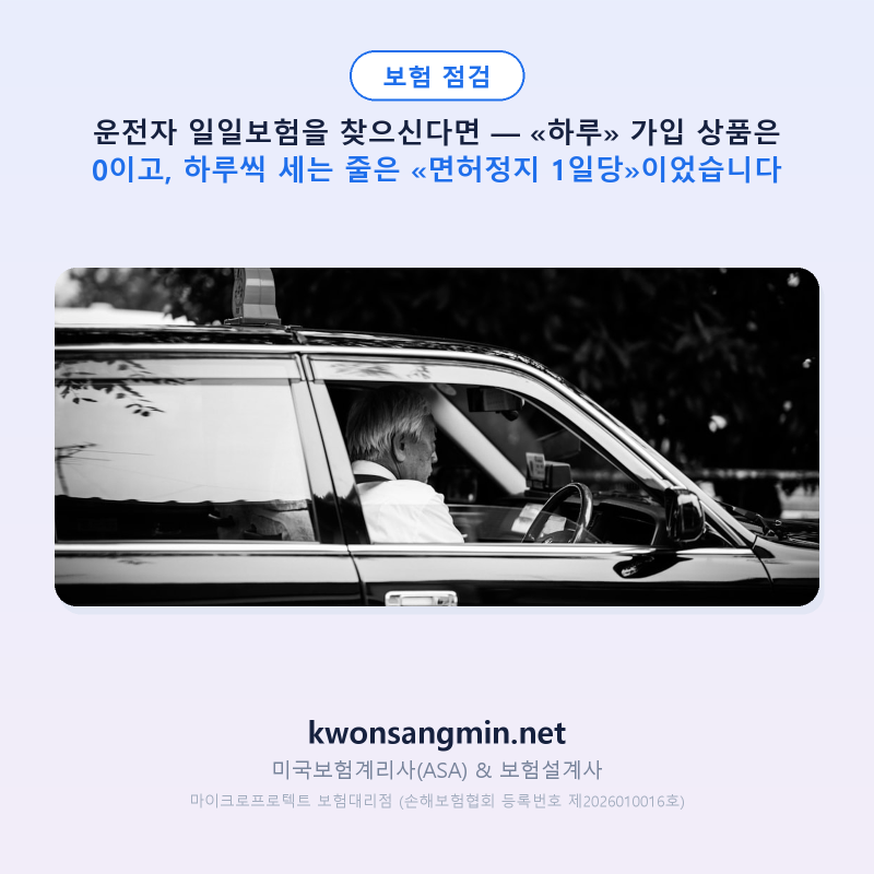운전자 일일보험을 찾으신다면 — 하루씩 세는 줄은 «면허정지 1일당»이었습니다