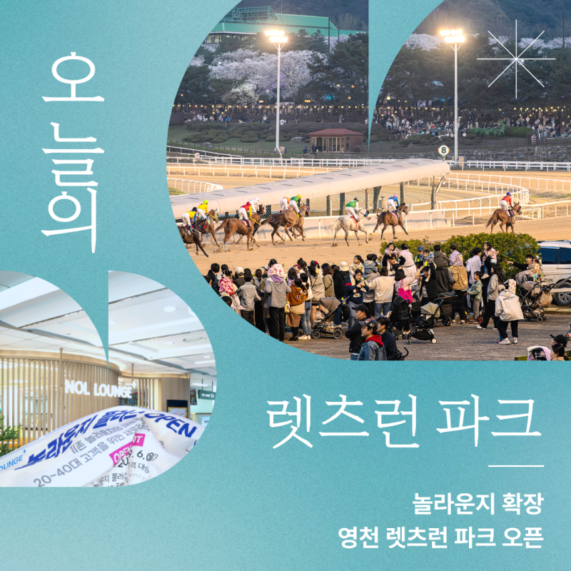 렛츠런 파크, '이 정보' 없이 가면 낭패입니다. 놀라운지 정보, 영천 오픈